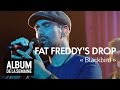 Fat Freddy's Drop - Blackbird - Album de la semaine