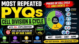 Most Repeated PYQs Cell cycle &amp; Cell division with all explanation | PYQs from phases of cell cycle 