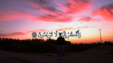 ﴿أفحسبتم أَنَّمَا خَلَقْنَاكُمْ عَبَثًا وَأَنَّكُمْ إِلَيْنَا لا ترجعون﴾ القارئ ادریس ابکر 🪐
