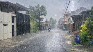 Caught in Heavy Rainstorms & Strong Winds in my Village | Natural Rain Sound Walk for Relax. screenshot 3