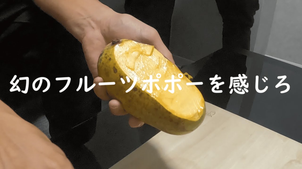 君は知っているか 幻のフルーツポポー を感じろ Youtube 君は知っているか 幻のフルーツポポー を感じろ Youtube