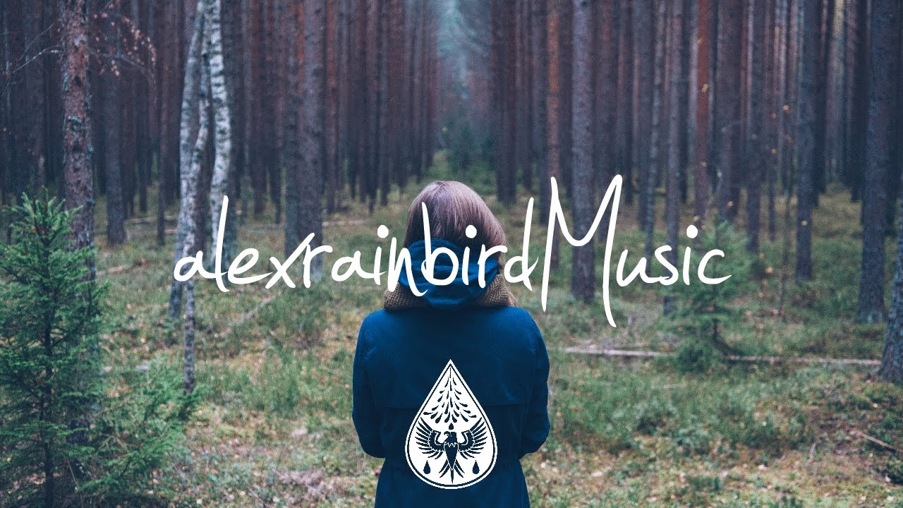 The Natterjacks - Wind No Rain