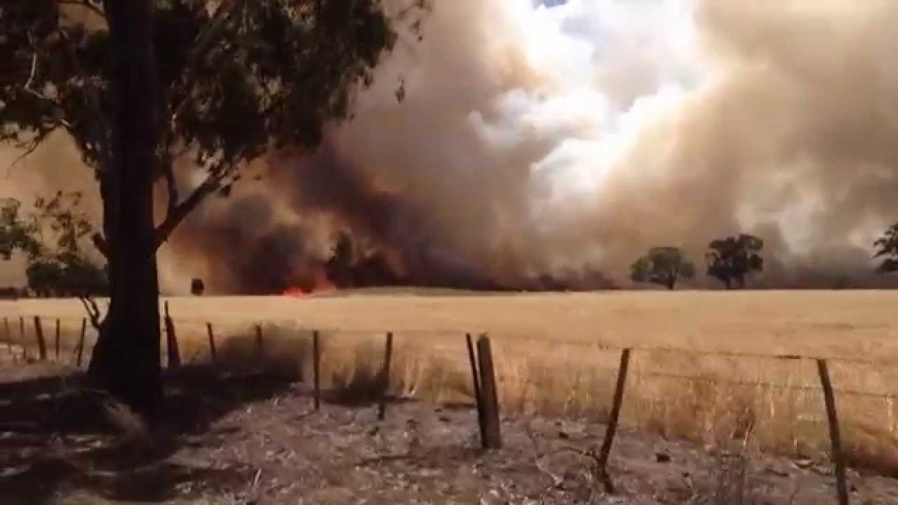 Wheat Field Caught on Fire in Pine Lodge Victoria Australia