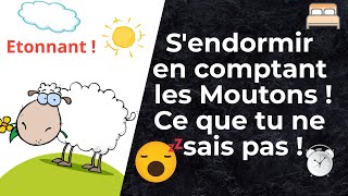 Compter les moutons pour s'endormir ? Cette vidéo va détruire tes mythes d'enfance !