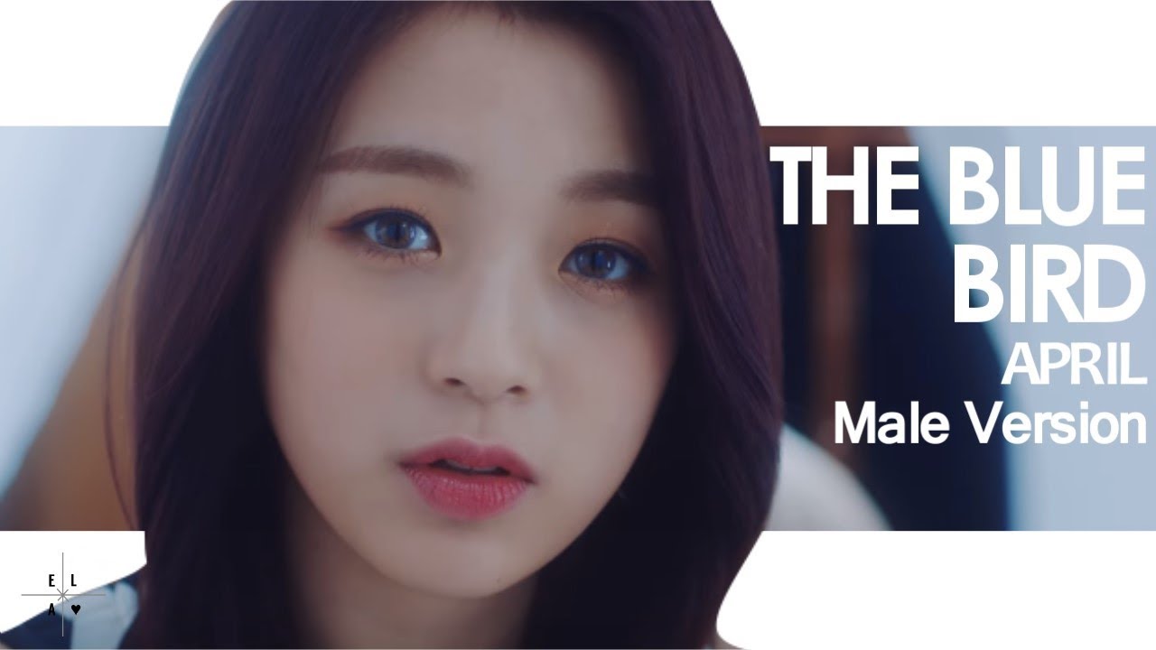 [MALE VERSION] APRIL - The Blue Bird - YouTube