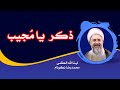 ذکر یام جیب آیت الله العظمی محمدرضا نکونام