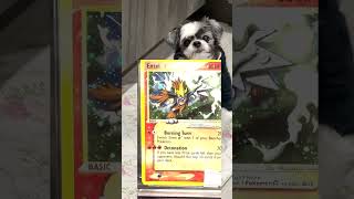 My Gold Star Entei is Pristine 10 &amp; beyond 😍