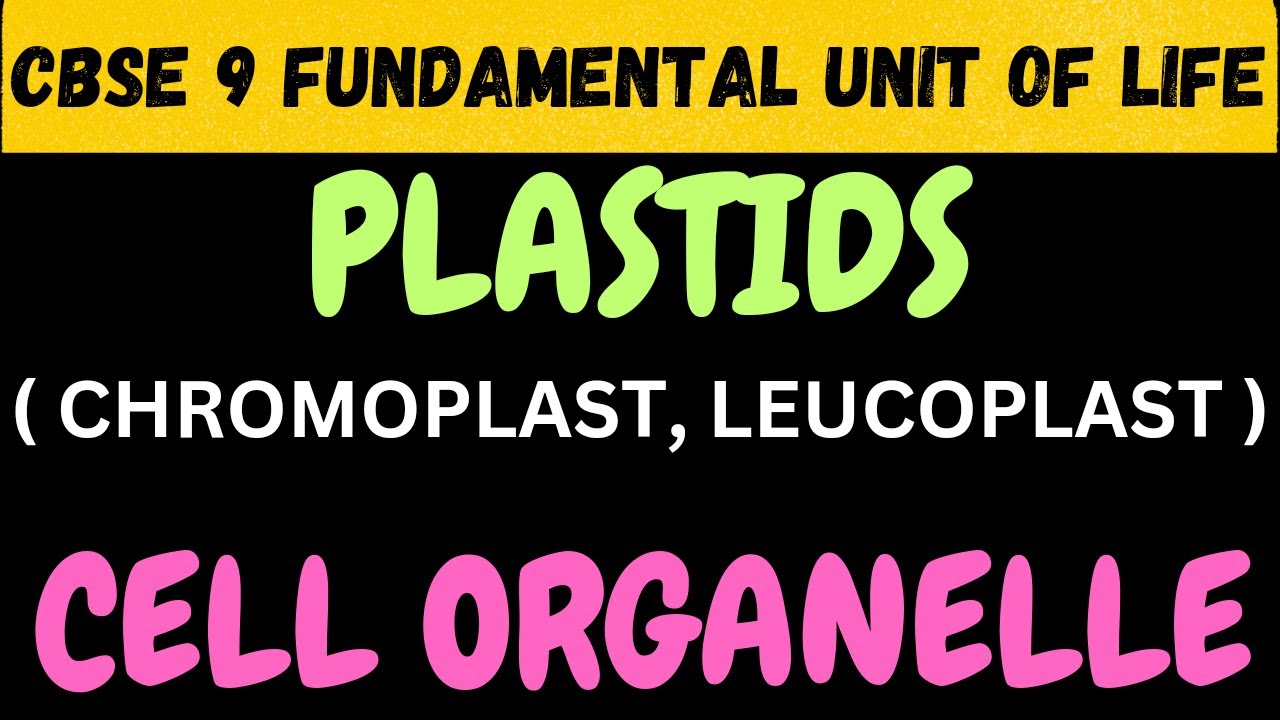TYPES OF PLASTIDS AND WHY IT IS CALLED KITCHEN OF THE CELL ?? CBSE 9