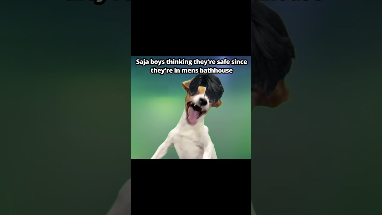 How Are They Even Real Comedyvideos Funnyshorts Funny Kpopdemonhunters Cat