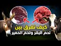 كي لا يخدعك الجزار كيف تفرق بين لحم البقر ولحم الحمير