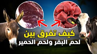 كي لا يخدعك الجزار كيف تفرق بين لحم البقر ولحم الحمير