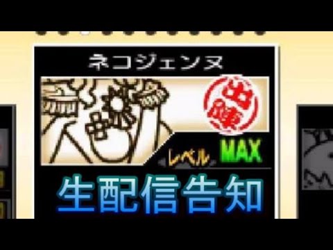 生配信告知＆にゃんこ大戦争！