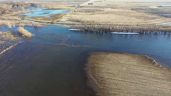 ILLINOIS FLOODING