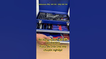 Bộ dụng cụ đa năng 239 chi tiết WORKPRO WP209033 hàng xịn giá mềm! #dungcuso #workpro #donghe