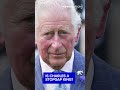 Is Charles a stopgap king?