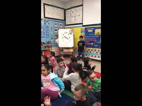 Whole Brain Teaching Kindergarten Student Professor Inspires the World!