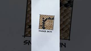 how to draw snake scales | #alcoholmarkers #coloredpencils #camscanner #scannerapp #pdf