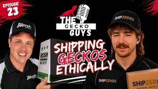 Shipping Geckos Ethically - The Gecko Guys - Episode 23