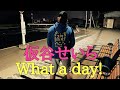 仮谷せいら『What a day!』covered by 越智孝明