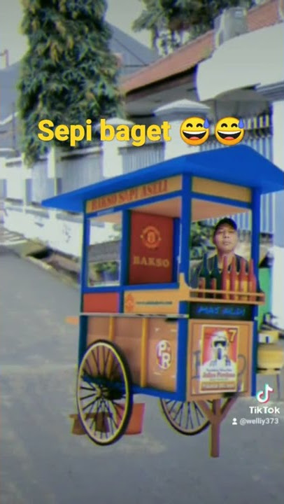 viral tukang bakso tik tok