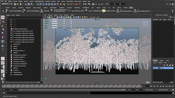 05   Maya Dynamics Wind