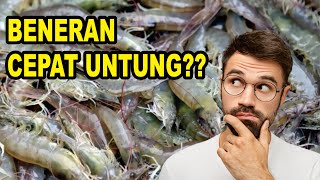 The Secret to Profiting Big from Freshwater Shrimp Cultivation