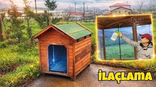 Zeynanın Kulübesini Getirdik 🐕‍🦺 Temizlik Bitiyor 🧼 Böcek İlaçlama 🪳 Bayram Çiftlik Vlog 