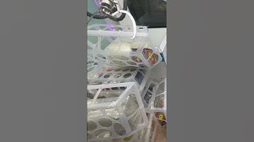 claw machine game #shorts #인형뽑기 #와리뽑기 #짱오락실 #집게를찾는사람들