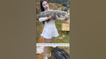 em gái có tâm hồn to tròn đi câu cá hồ dịch vụ gặp anh chủ hồ khó tính và cái kết  #fishing #cauca