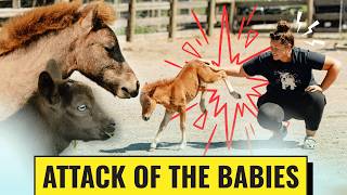 Why Are You Like This?! | Baby Update