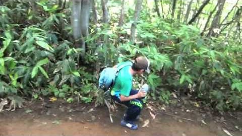 塩谷丸山登山（予告）