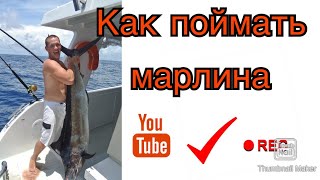 Как приготовить снасть⬇️ и поймать марлина