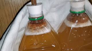 Homemade hard apple cider from the grocery store