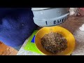 Дешёвая автоматическая кормушка