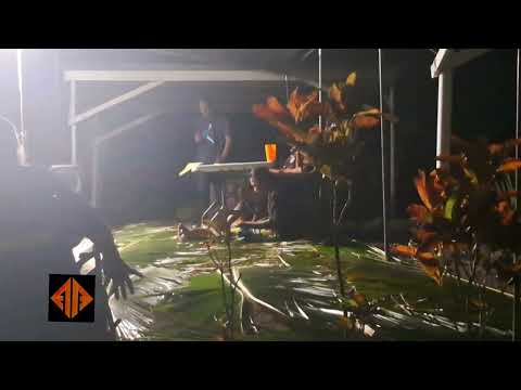 Hagaala De Magau Edelina Soulik Nukuoro