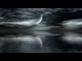 فيديو للتصميم بدون حقوق بحر وقمر في الليل Sea And Moon At Night بدقة عالية HD فيديو للتصميم بدون حقوق بحر وقمر في الليل Sea And Moon At Night بدقة عالية HD