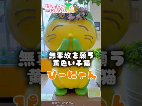 【千葉県千葉市】無事故を願うぴーにゃんと飯テロ #京葉道路幕張PA #ぴーにゃん #むじこねこ #ちばっことじょりん