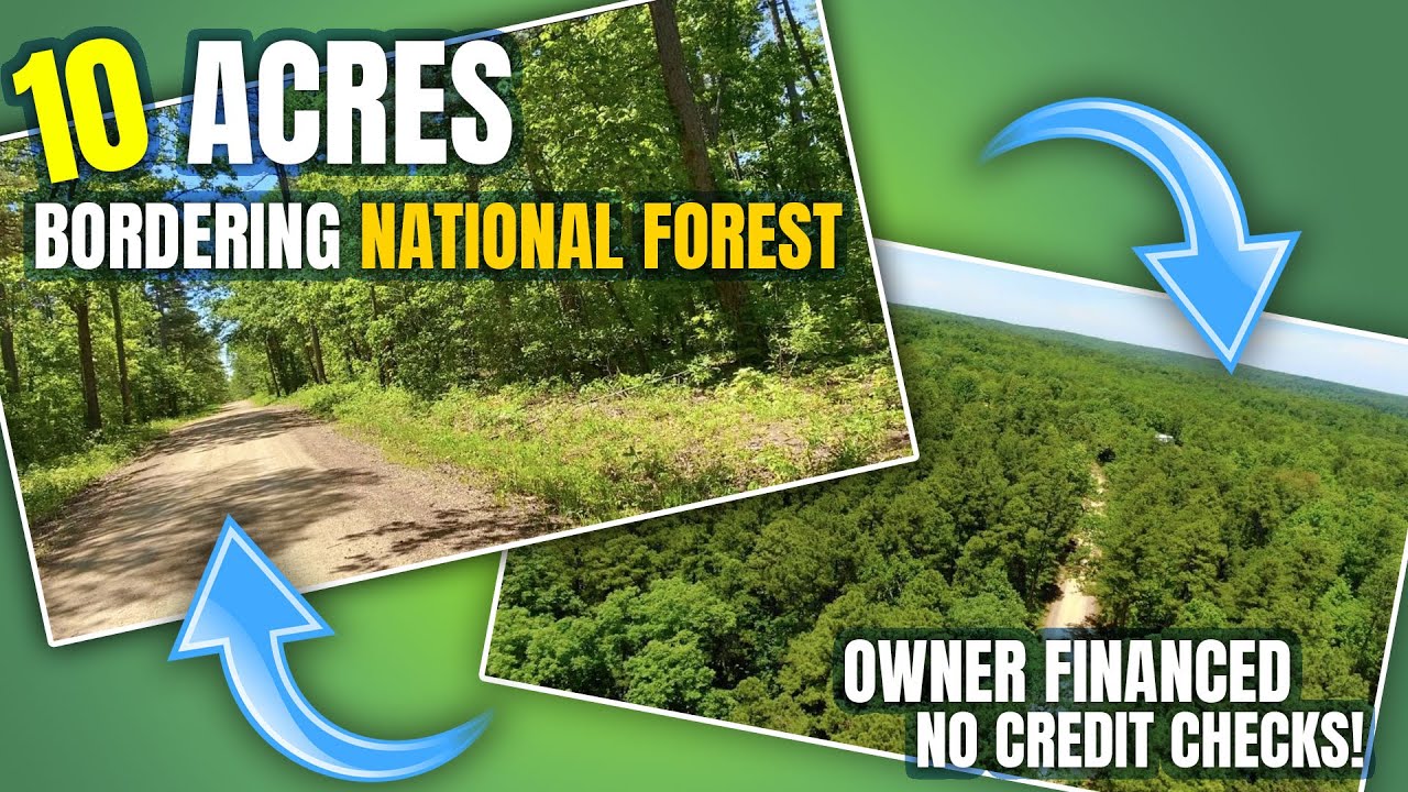 Owner Financed Property ON 50,000 Acre National Forest! 1,500 Down