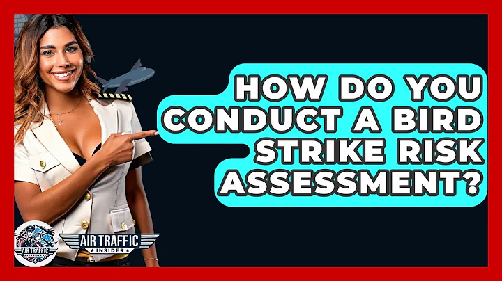 How Do You Conduct A Bird Strike Risk Assessment? - Air Traffic Insider