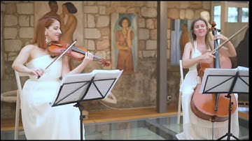 Wildest Dreams - Talylor Swift || Artistic Productions  String Duo