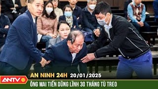 Cựu Bộ trưởng Mai Tiến Dũng bị tuyên phạt 30 tháng tù treo | An ...