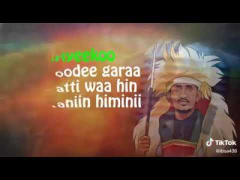 Hacaaluu Oromic Music Hiriyaan Dharaa