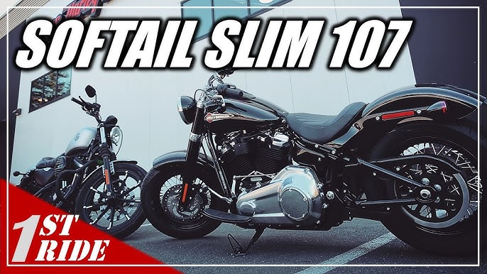 Customized Harley-Davidson Softail Slim by Thunderbike 