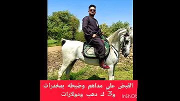 القبض علي التيك توكر مداهم و ضبطته بمخد رات و دهب و دولارات Shorts Short Viral Like Trend 