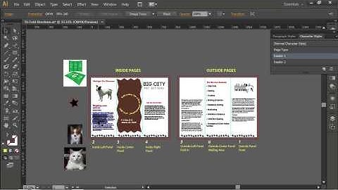 Adobe CS6 Design Web Workflow 2012  02  Vector Image Editing with Illustrator 11  Creating Text Outl