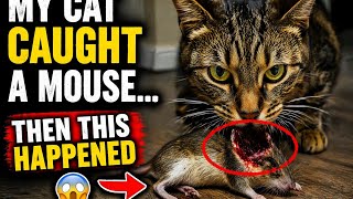 Cat eats mices head off
