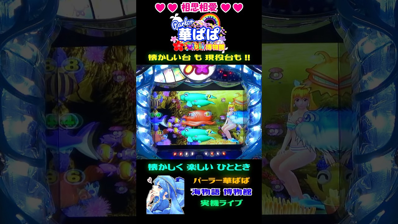 🐠美しき奥から魚群🐠✨右アングル・魚群示唆✨💛3連マリンちゃん紹介ムービー💛🌴スーパー海物語 SAE5・ハワイ 白海 復刻版🌴🎗️パーラー華ぱぱ・海物語博物館🎗️ショート動画