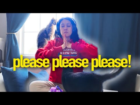Using all my manifesting powers for this 🙏🏻... (vlogmas day 4)