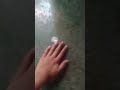 pls like and subscribe to my channel🙏