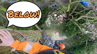 Windy Tree Removal by Manor house by Tpott's Trees 519 views 3 days ago 6 minutes, 19 seconds